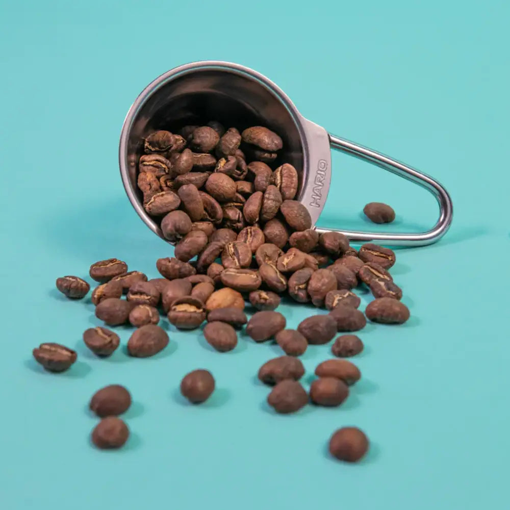 Hario v60 SS Measuring Spoon