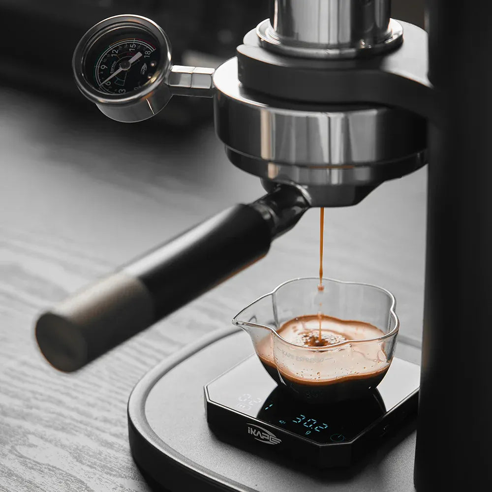IKAPE Hand-Cranked Manual Coffee Machine Alkaid