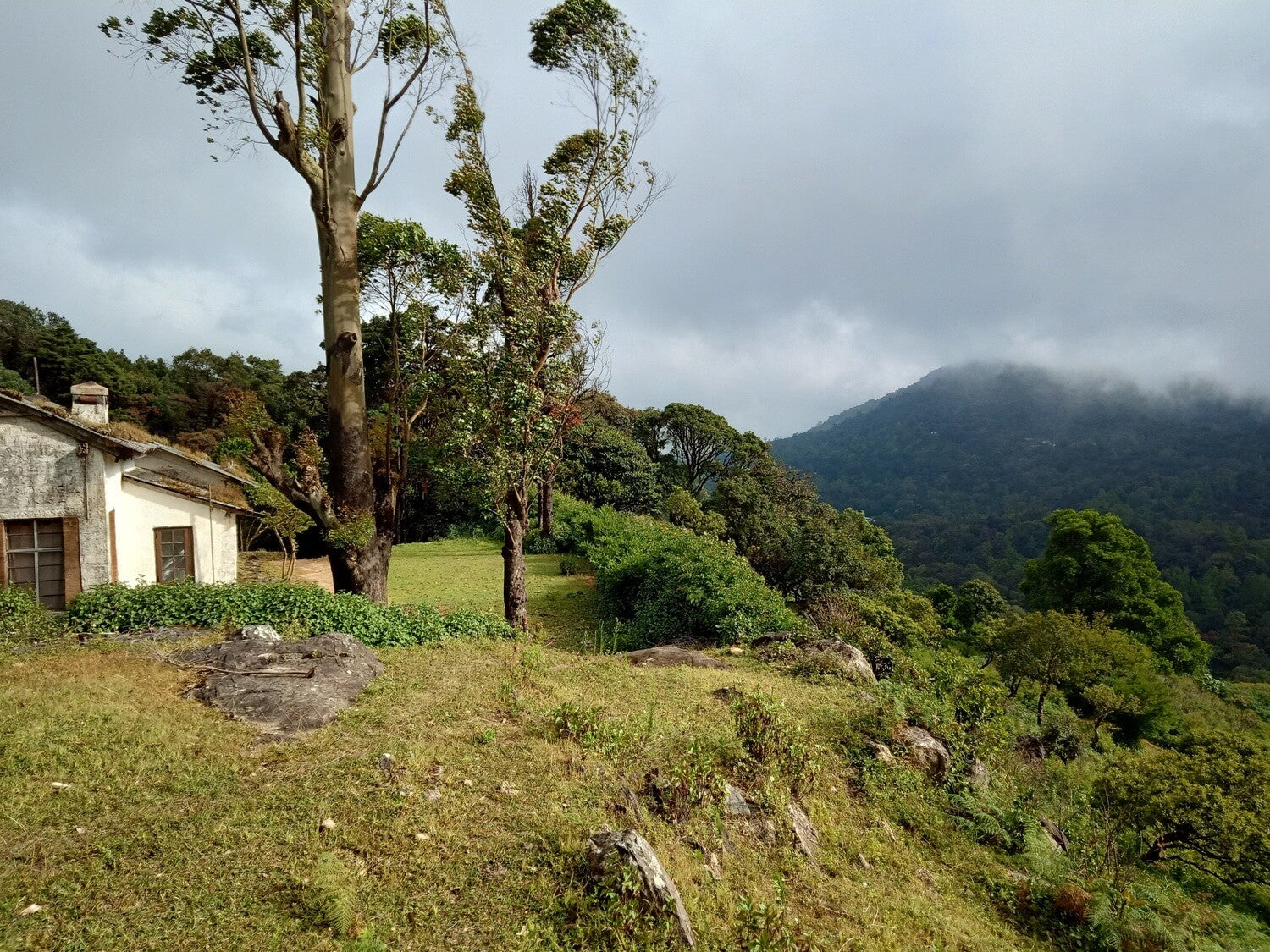 Scenic view of mountainous Shire coffee estate with lush green landscape and processing facilities