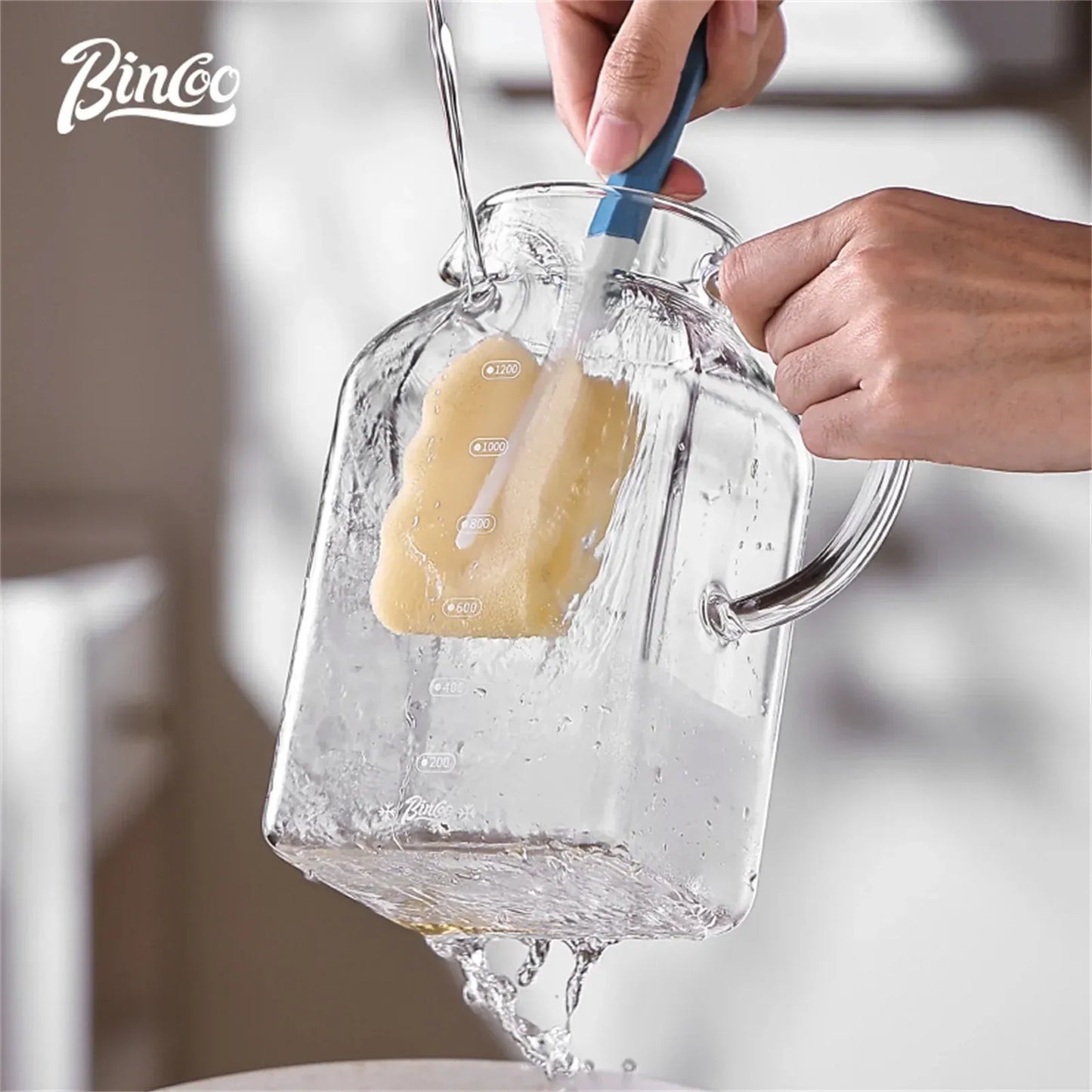 Bincoo 1200ML Glass Cold Brew Coffee Pot