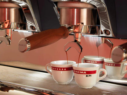 Faema E71 Touch 2/3 Group