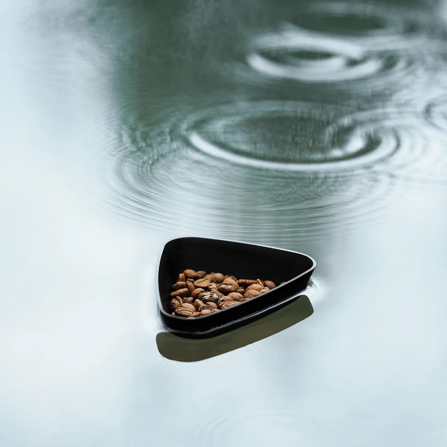 MHW-3 Bomber RDT Spray Bottle & Dosing Cup Coffee Making accessories and Serving equipments CoffeePlus.india