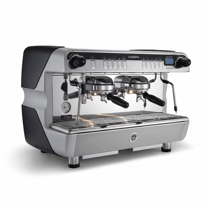 Casadio espresso machine on a white background
