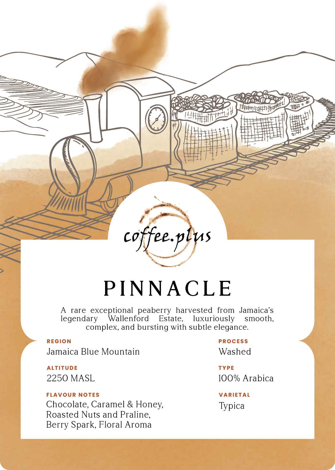 Pinnacle - Jamaican Blue Mountain