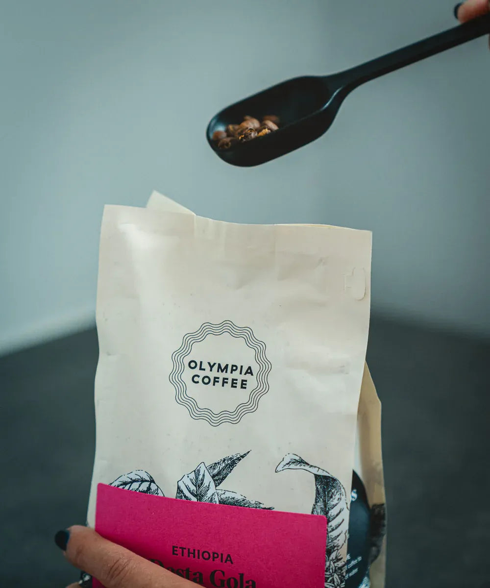 Olympia Coffee bag with a spoonful of coffee beans above it on a gray background