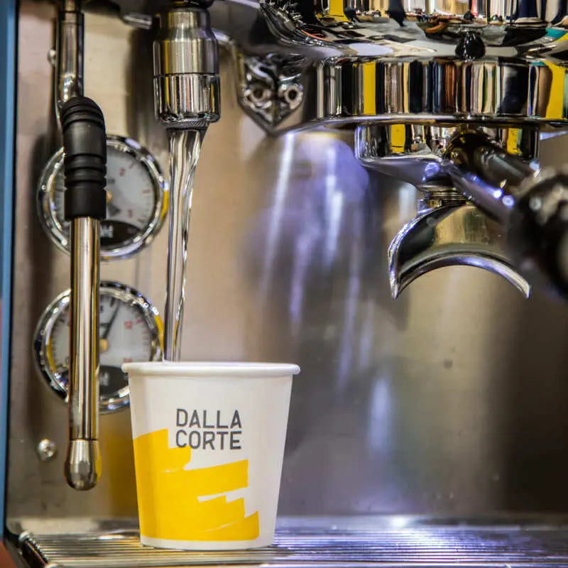 Dalla Corte Studio Aqua in professional café environment demonstrating commercial application
