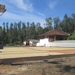 Panoramic view of Lorien coffee estate with lush green fields and processing facility
